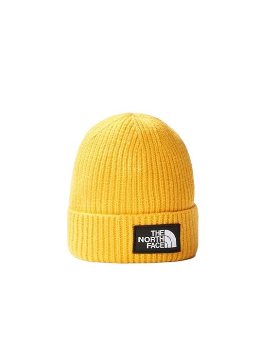 tnf logo box cuffed beanie THE NORTH FACE | NF0A3FJX56P1.56P1